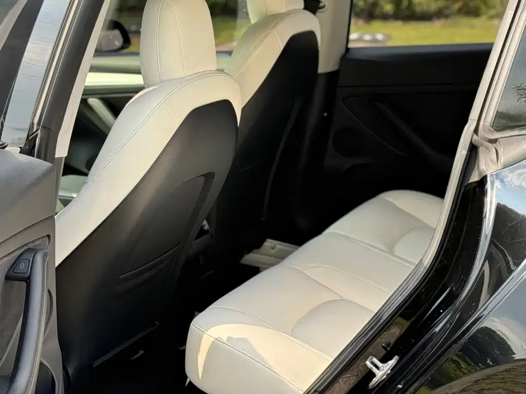 Tesla Model 3 — миниатюра 8