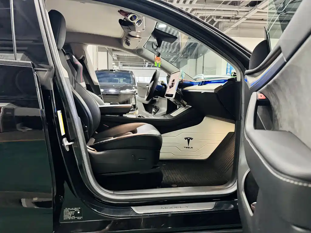 Tesla Model Y — миниатюра 13
