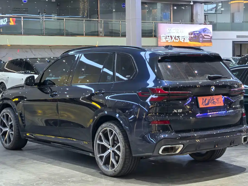 BMW X5 — миниатюра 3