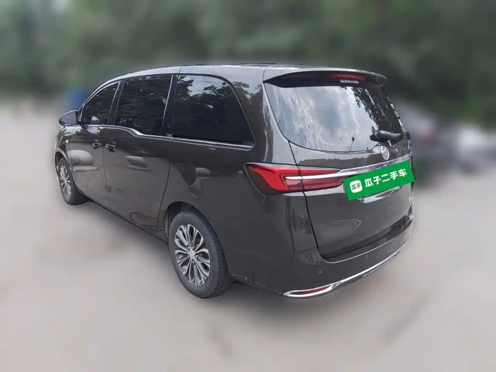 Buick GL8 — миниатюра 25