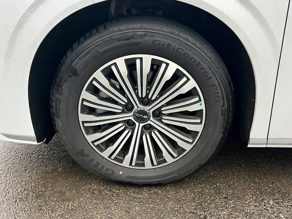 BYD M9 — миниатюра 17