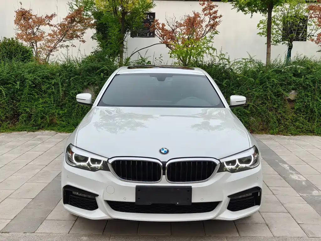 BMW 5 Series 5 2019 530Li Lead M Sport