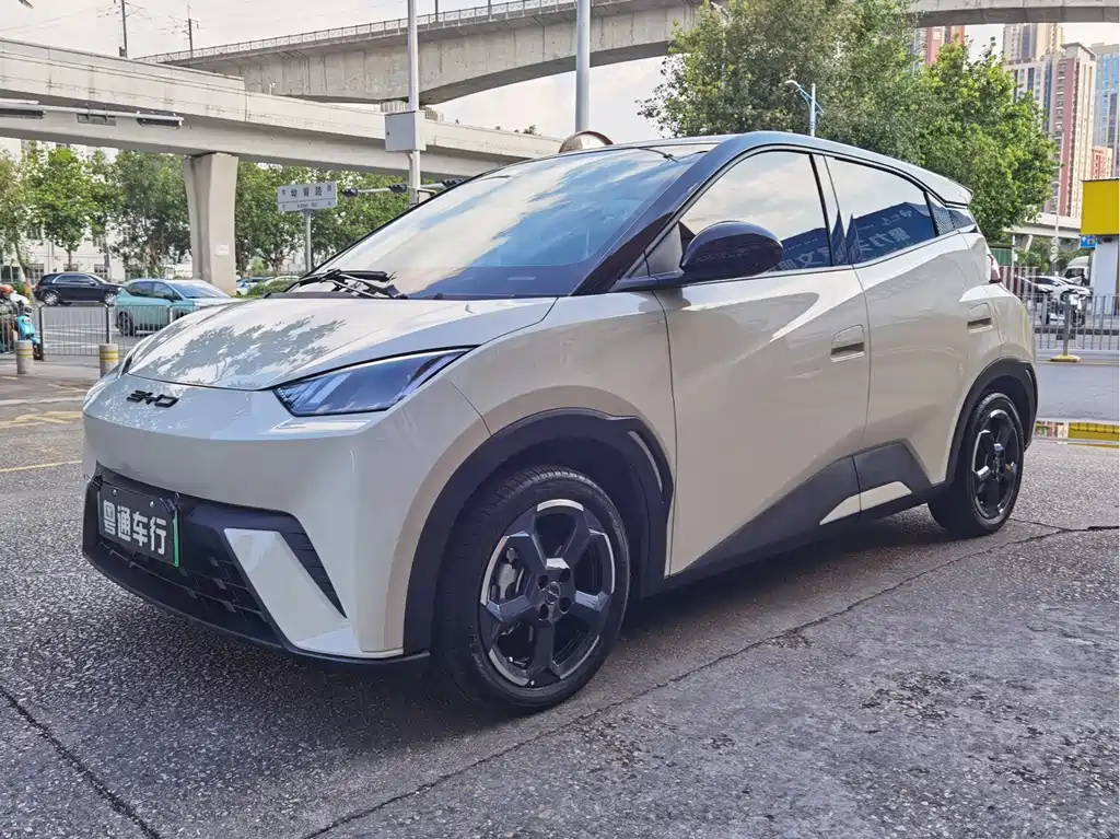 BYD Seagull