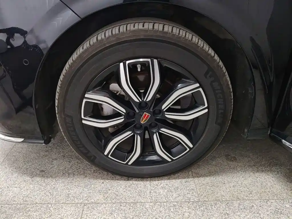 Hongqi Hongqi HQ9 — миниатюра 23