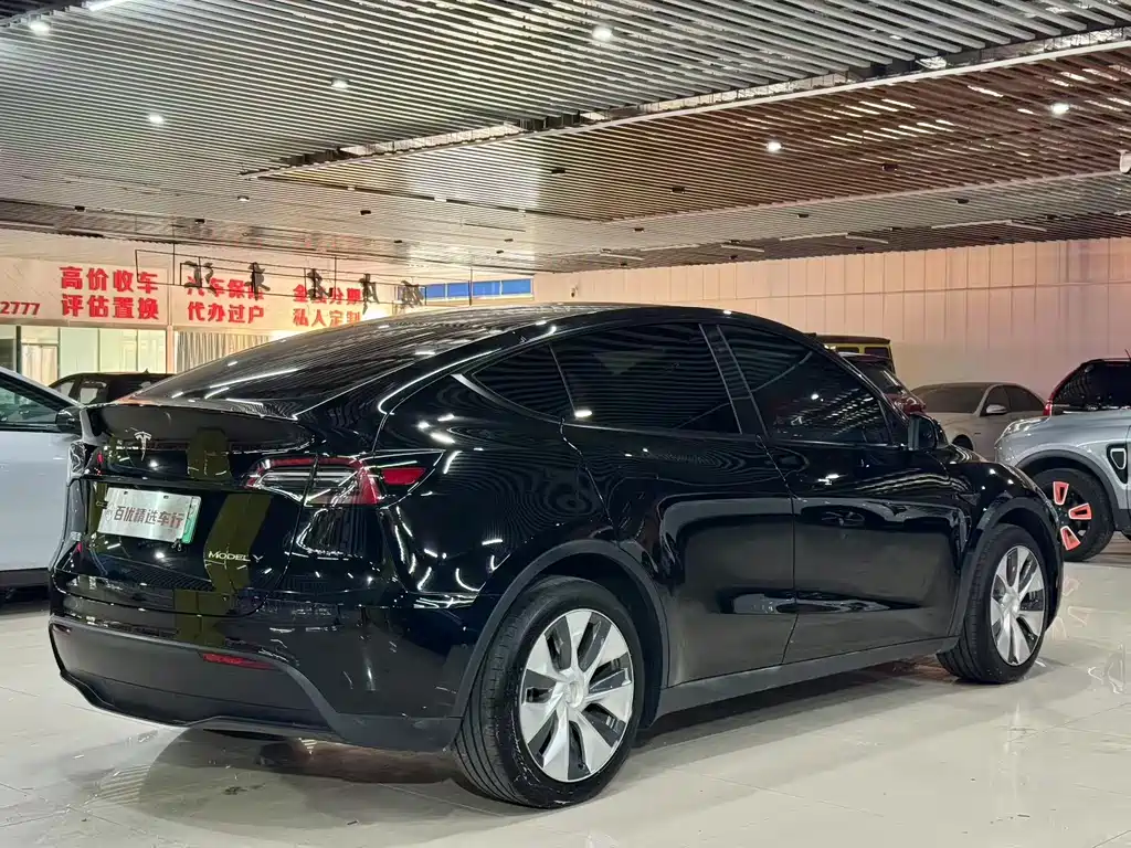Tesla Model Y — миниатюра 3