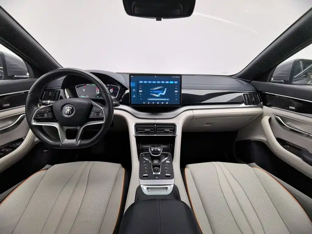 BYD PLUS New Energy — миниатюра 5