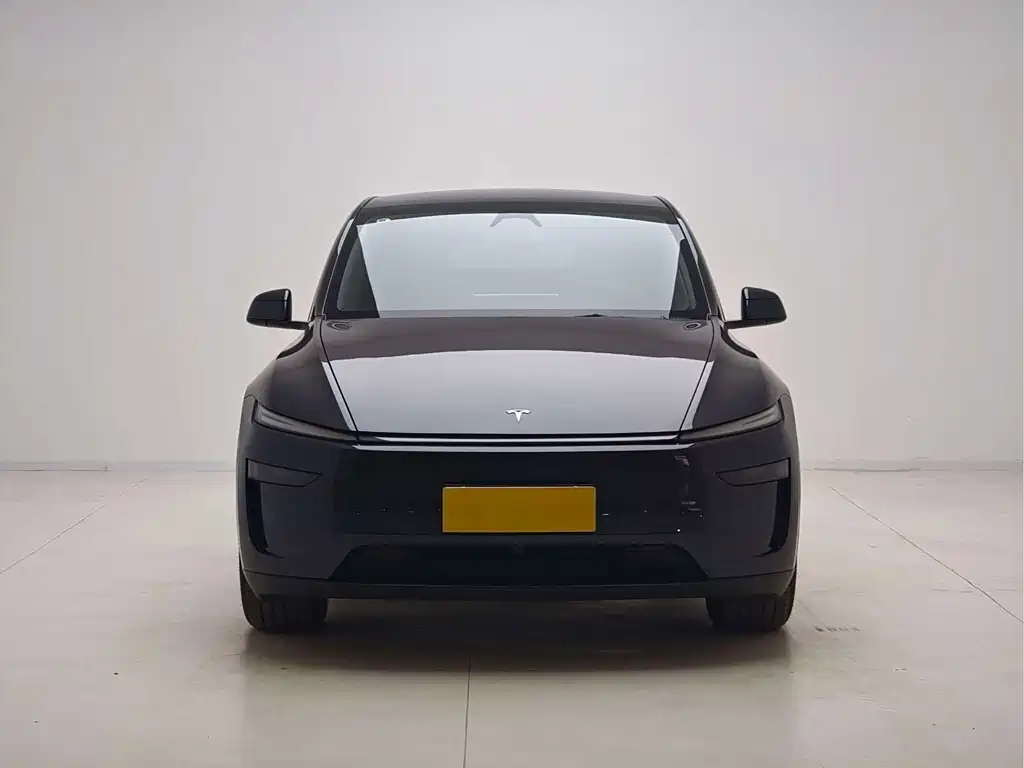 Tesla Model Y — миниатюра 2