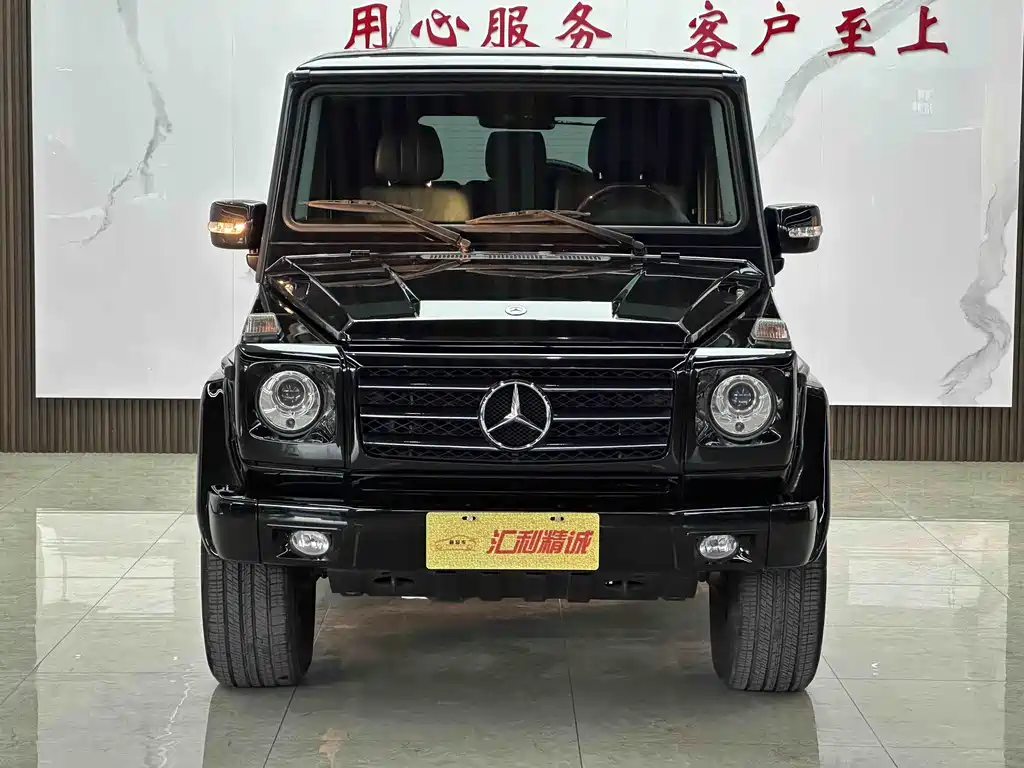 Mercedes-Benz G-Class G 2010 G 500