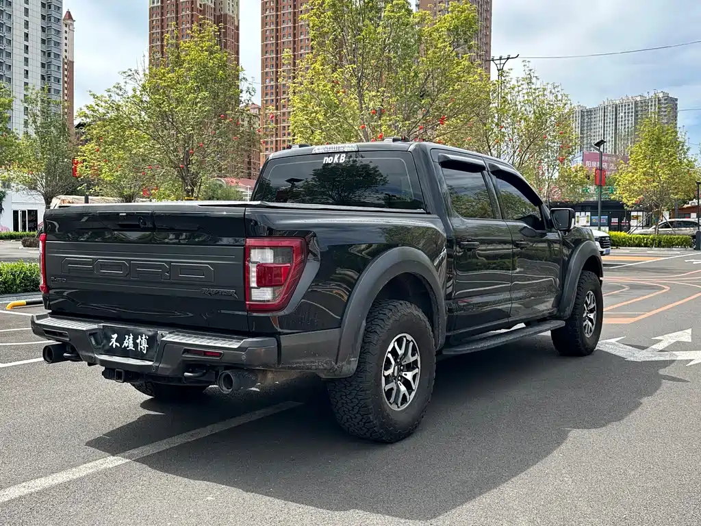 Ford F-150 Raptor — миниатюра 9