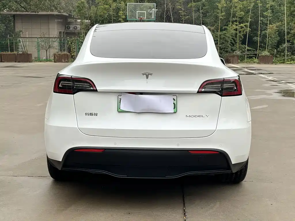 Tesla Model Y — миниатюра 5