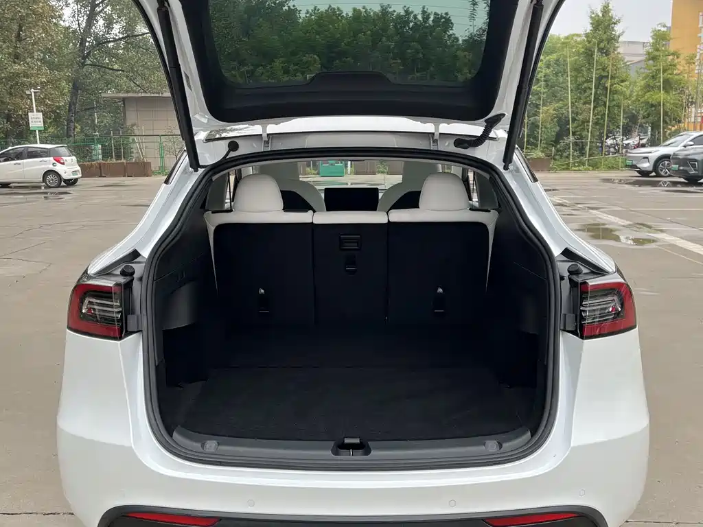 Tesla Model Y — миниатюра 15