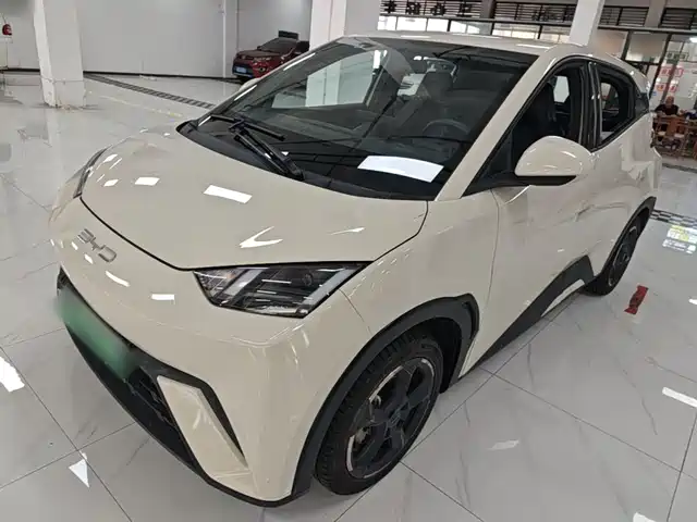 2024 BYD Seagull