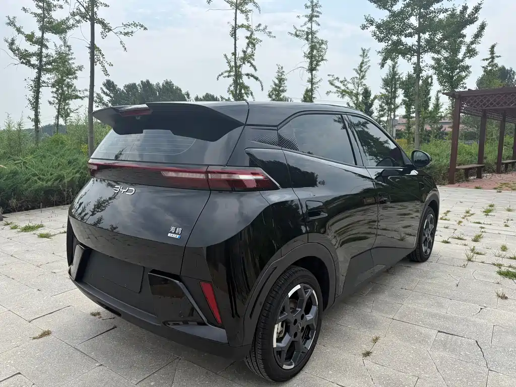 BYD Seagull 2025 Smart Drive 305km Freedom