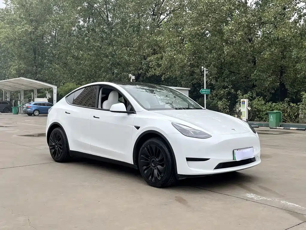 Tesla Model Y — миниатюра 10
