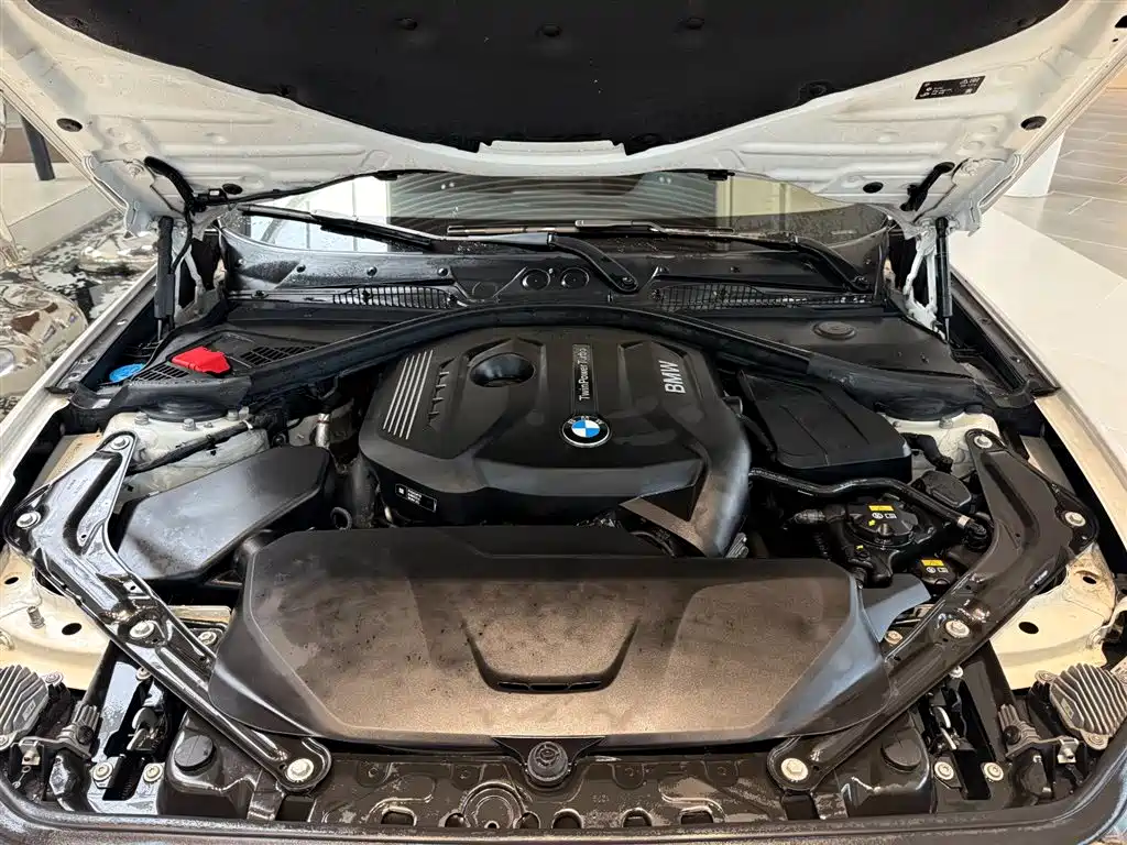 BMW 2 Series (Import) — миниатюра 12