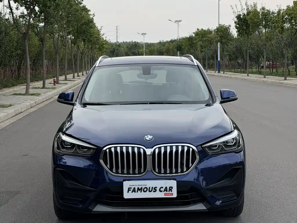 BMW X1 — миниатюра 2