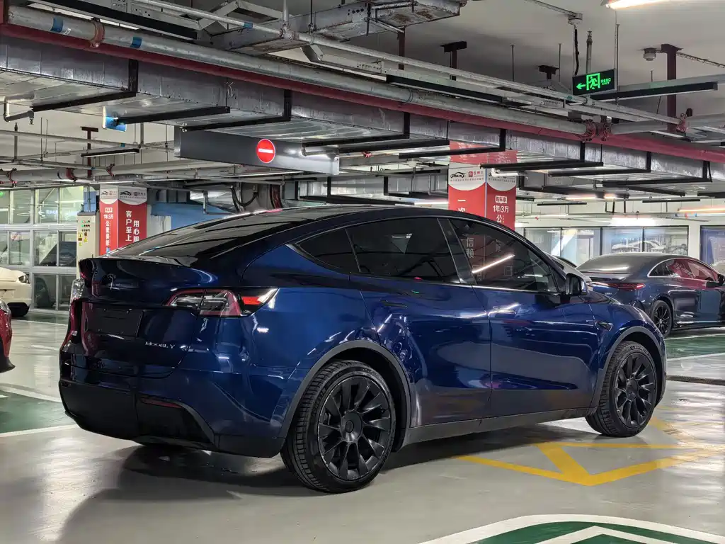 Tesla Model Y — миниатюра 6