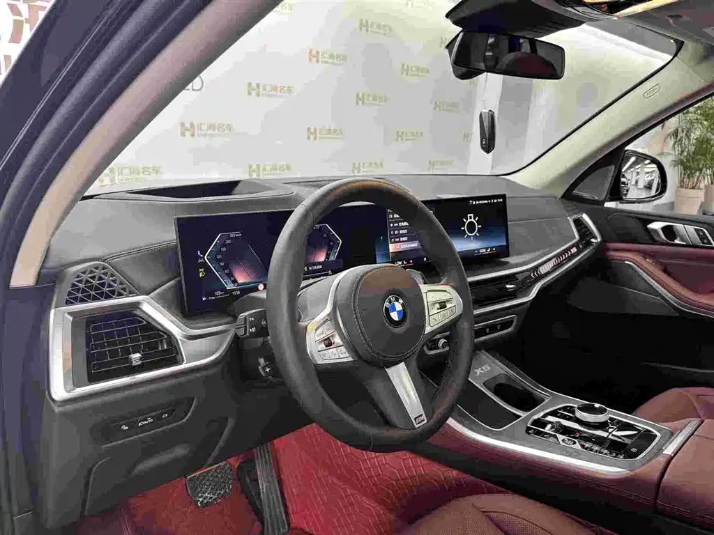 BMW X5 — миниатюра 9
