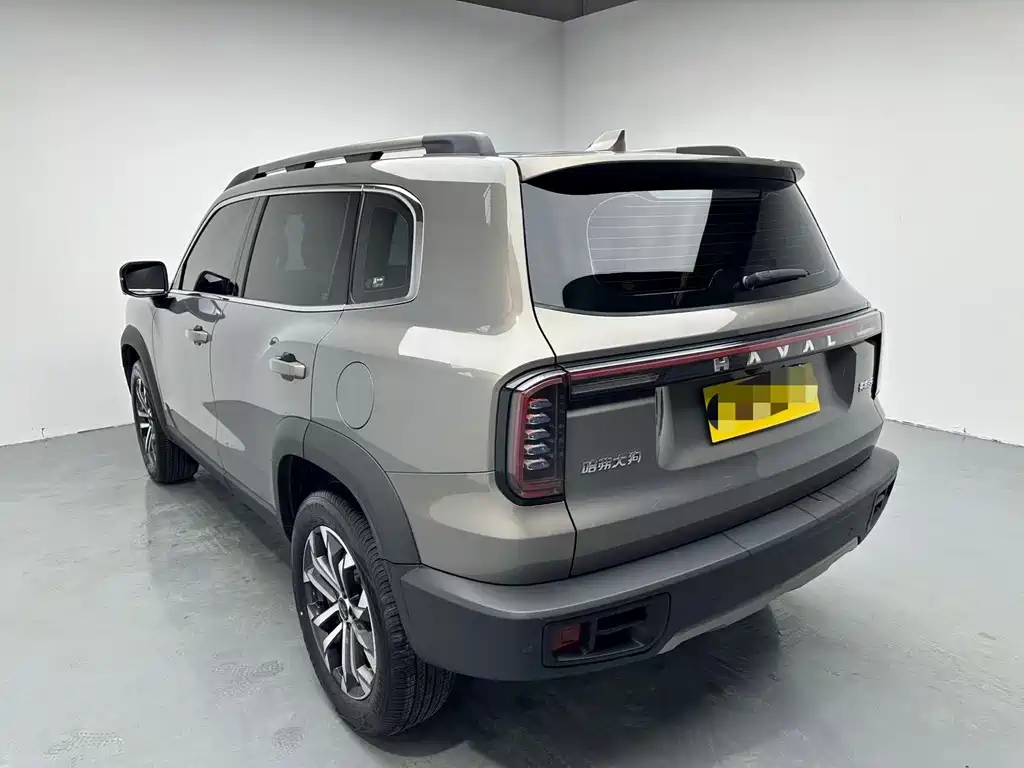 HAVAL BIG DOG