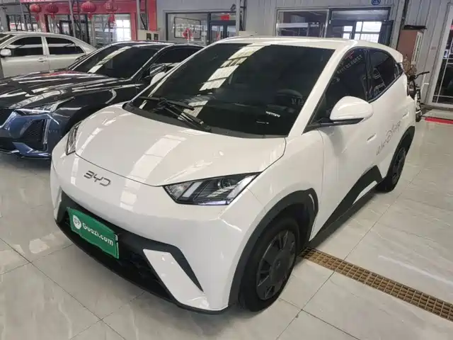 2025 BYD Seagull