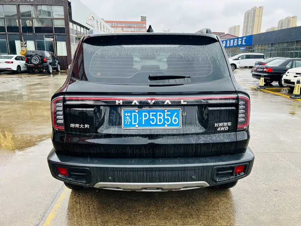 Haval 长城大狗 — миниатюра 11