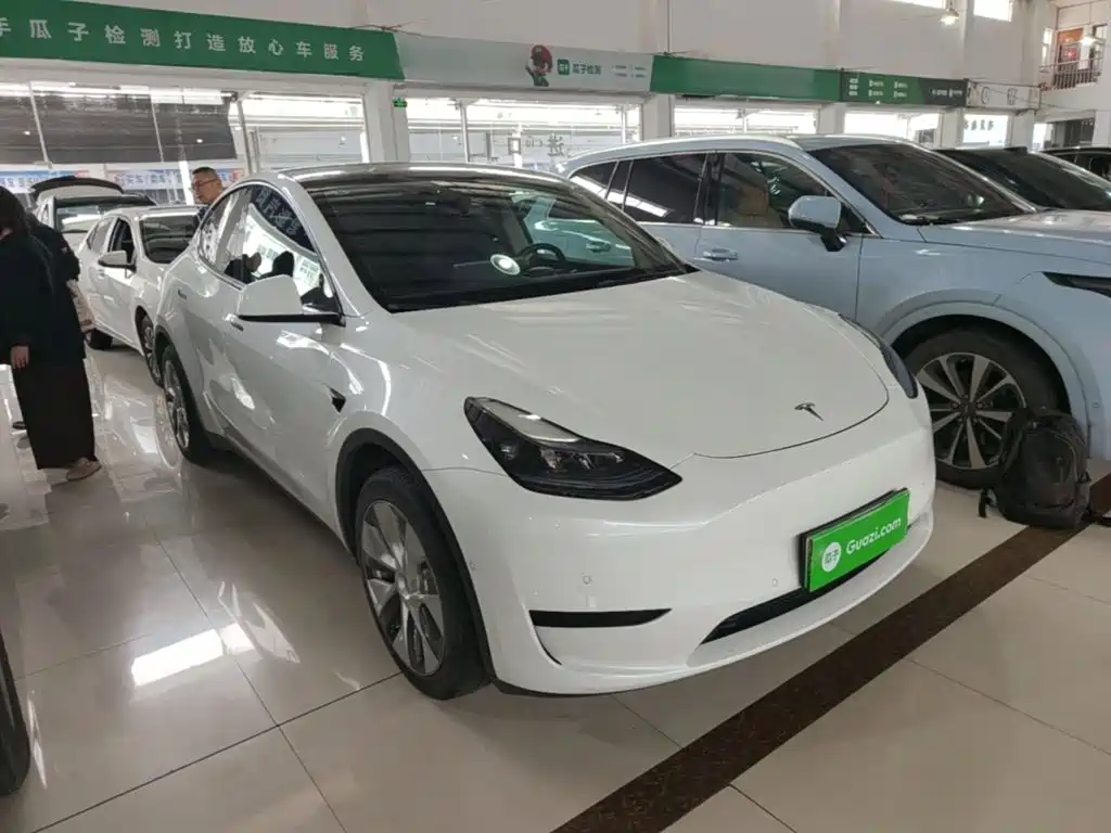 Tesla Model Y — миниатюра 4
