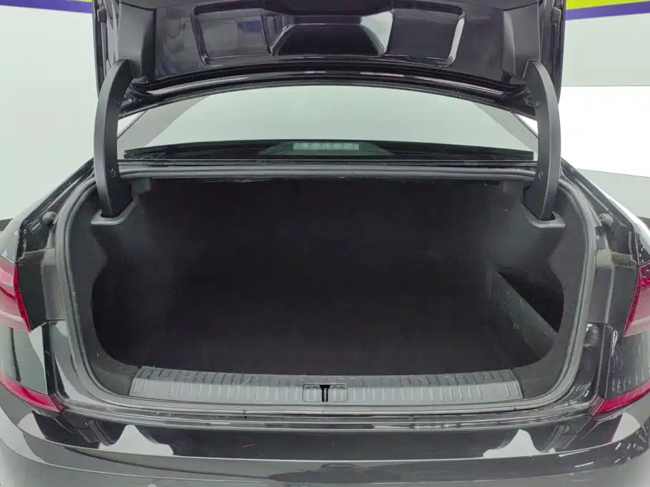 Volkswagen Passat — миниатюра 4