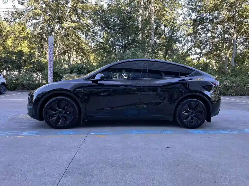 Tesla Model Y — миниатюра 5