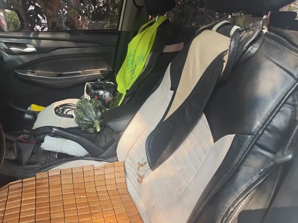 Wuling Hongguang S3 — миниатюра 11