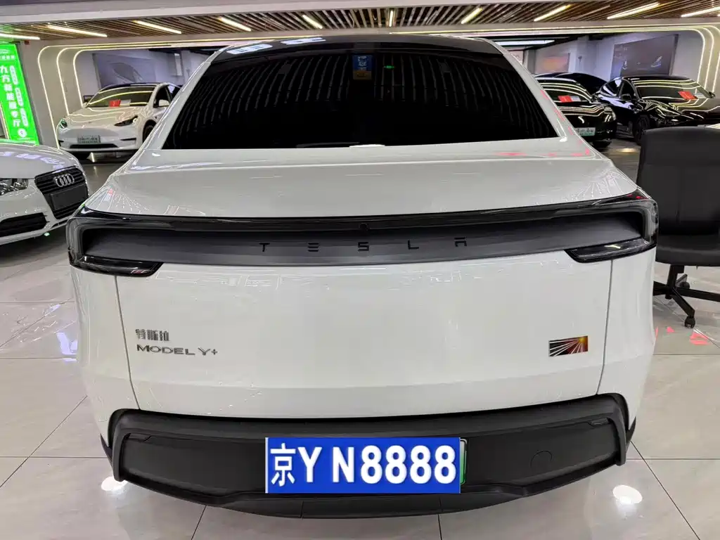 Tesla Model Y — миниатюра 10