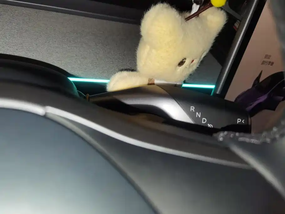 Tesla Model Y — миниатюра 16