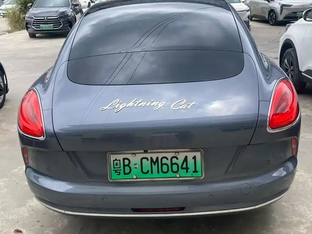 Ora Ora Lightning Cat — миниатюра 5