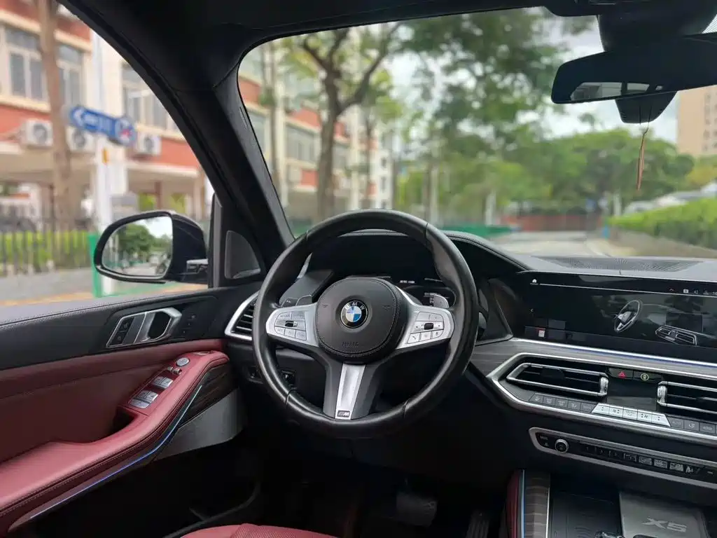 BMW X5 — миниатюра 7