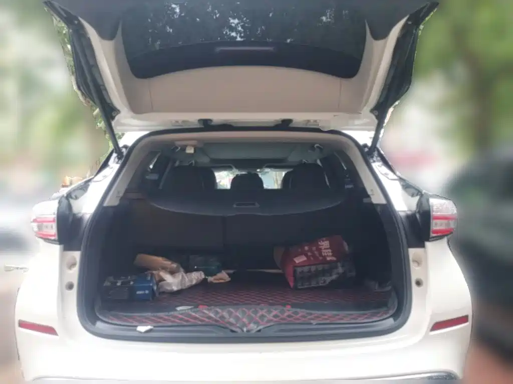 Nissan Murano — миниатюра 15