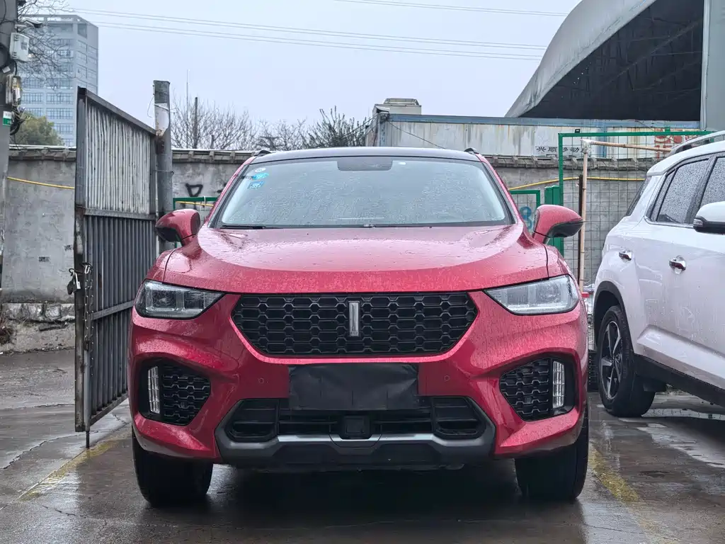 WEI PAI WEI BRAND VV5