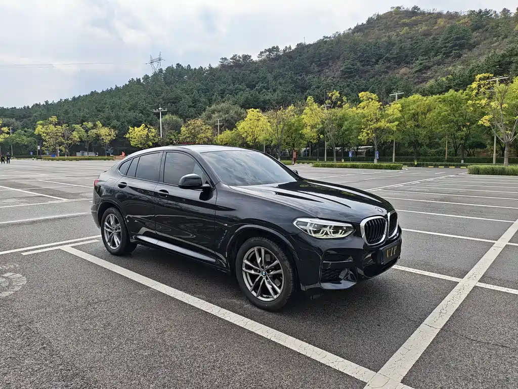 BMW X4 — миниатюра 3