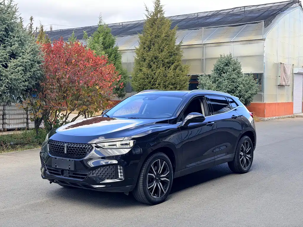 Wey Wey VV7 — миниатюра 3