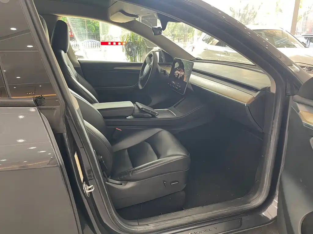 Tesla Model Y — миниатюра 13
