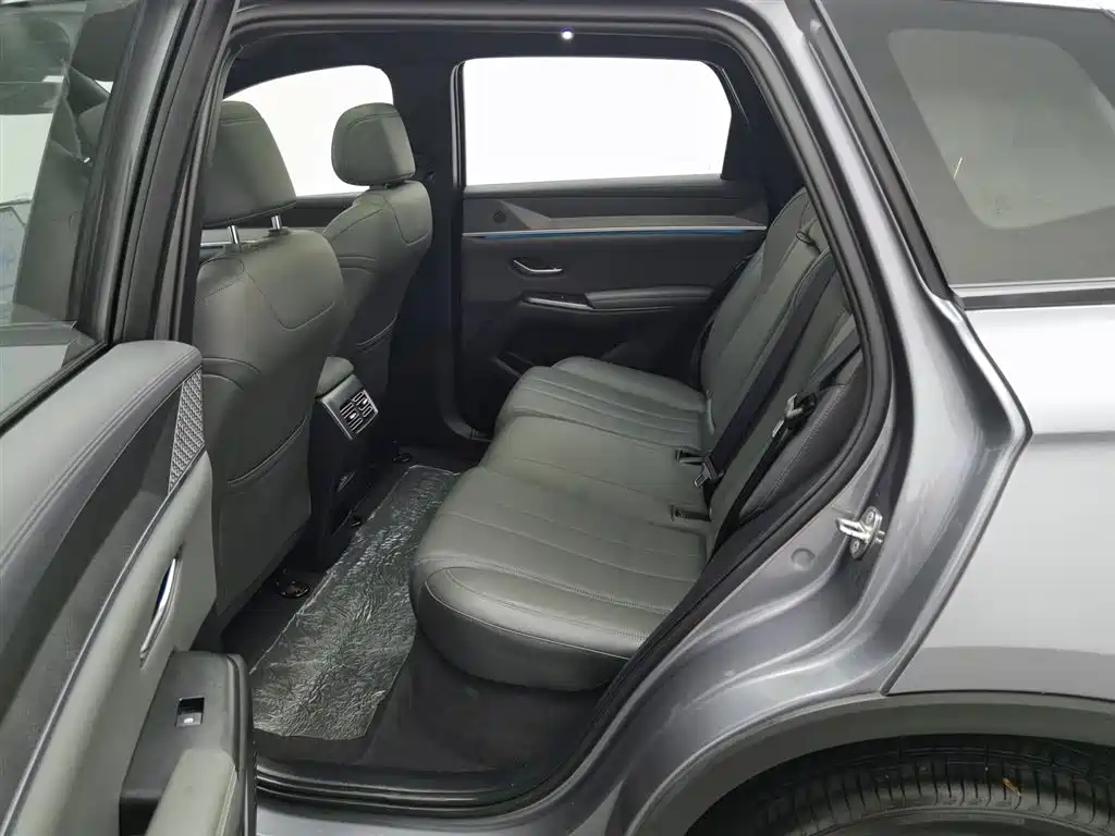 BYD SONGJIANG NEW ENERGY