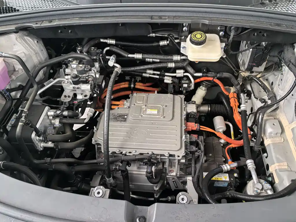 BYD SONGJIANG NEW ENERGY