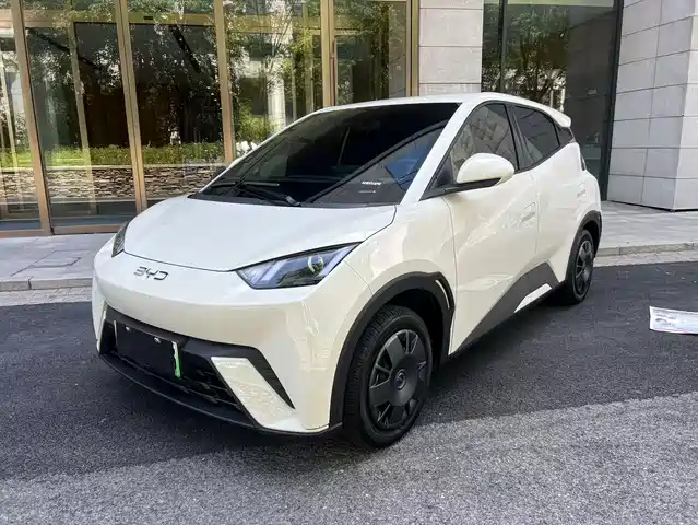 2024 BYD Seagull
