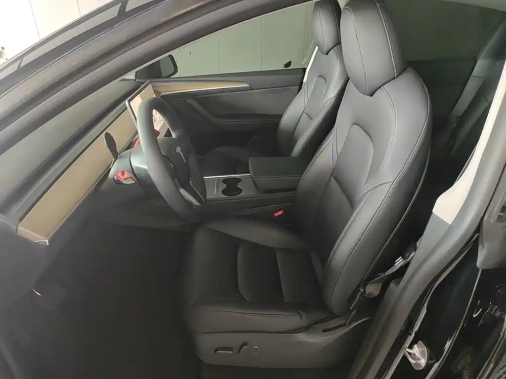 Tesla Model Y — миниатюра 15
