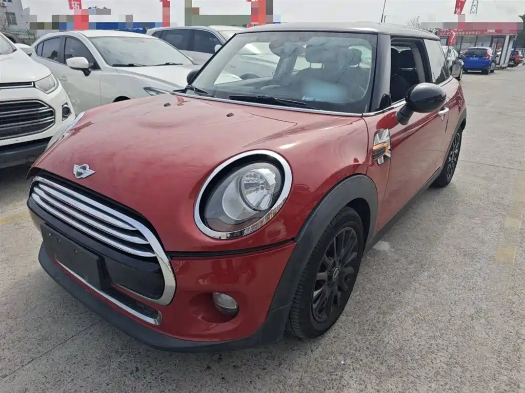Mini Mini 2015