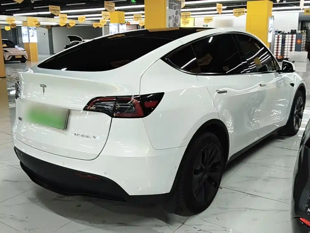 Tesla Model Y — миниатюра 7