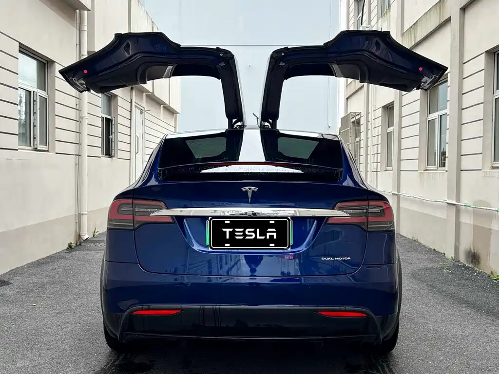 Tesla Model X — миниатюра 5