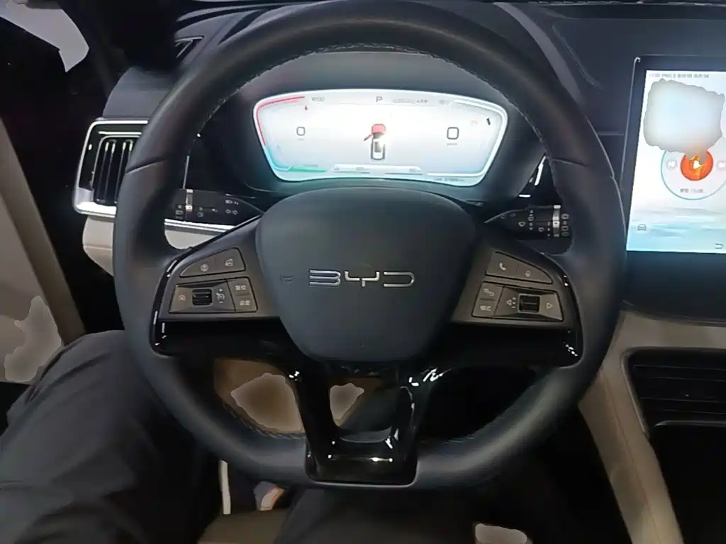 BYD PLUS New Energy — миниатюра 11