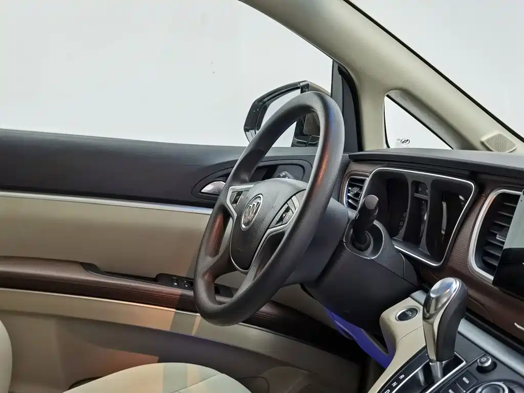 Buick GL8 — миниатюра 22