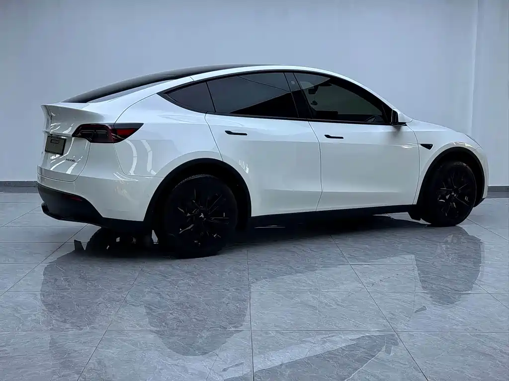 Tesla Model Y — миниатюра 16