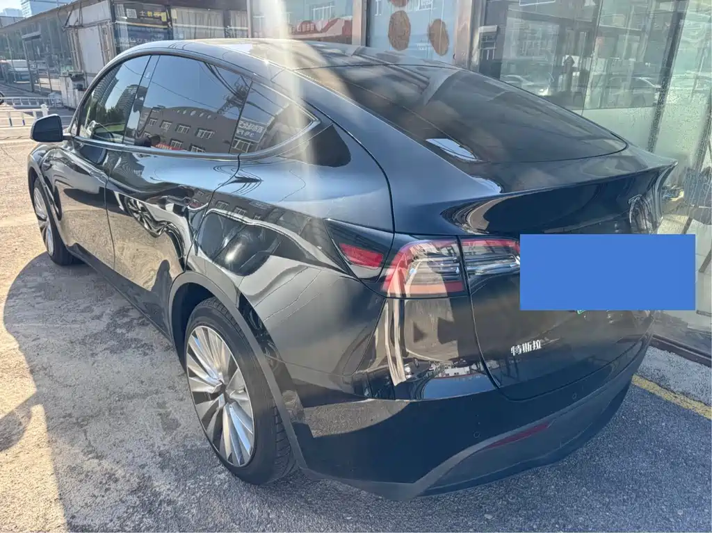 Tesla Model Y — миниатюра 7