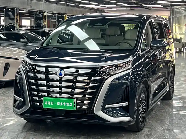 2023 Denza D9
